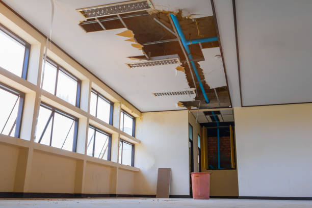 Best Water damage repair service  in Evansburg, PA