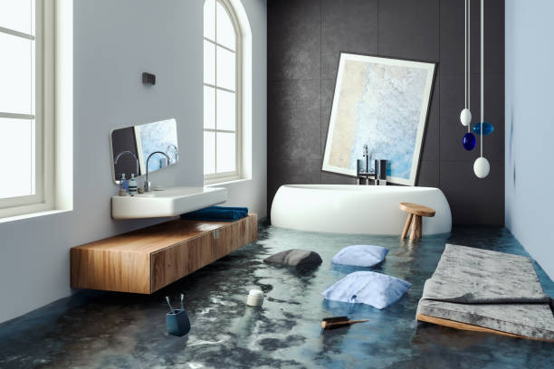Best Water damage contractors near me  in Evansburg, PA