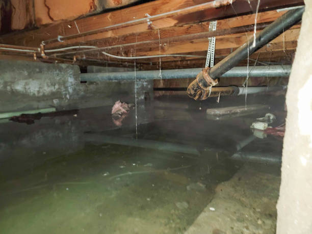 Best 24/7 water damage repair  in Evansburg, PA