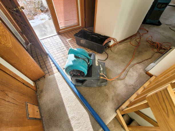 Water damage restoration mold remediation in Evansburg, PA