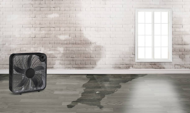 Best Commercial water damage restoration  in Evansburg, PA