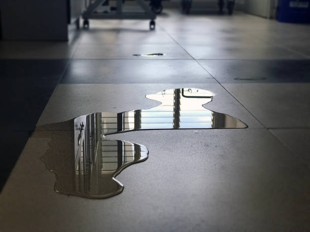 Best Water damage restoration near me  in Evansburg, PA