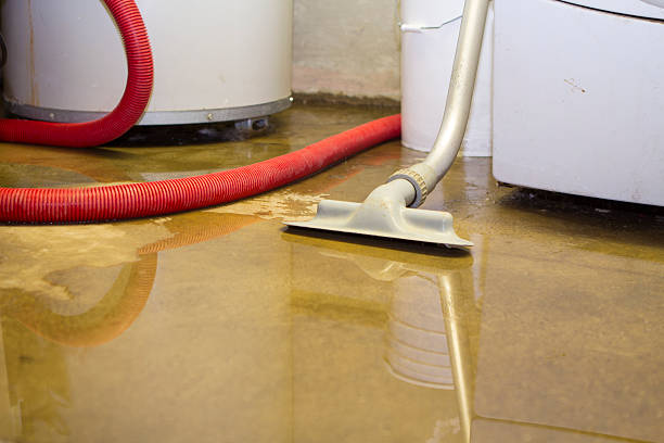 Best Water damage cleanup near me  in Evansburg, PA