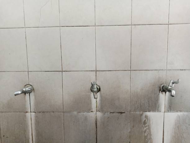 Best 24/7 water damage repair  in Evansburg, PA