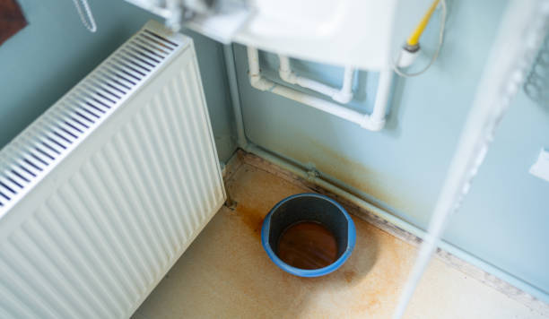 Best Professional water damage repair  in Evansburg, PA