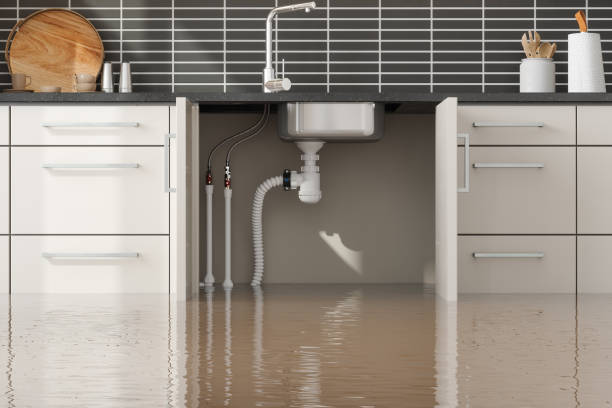 Best Basement water damage restoration  in Evansburg, PA