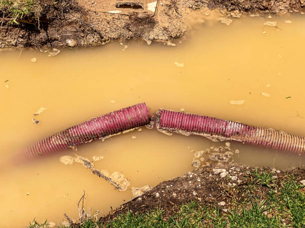 Best Flood damage cleanup  in Evansburg, PA
