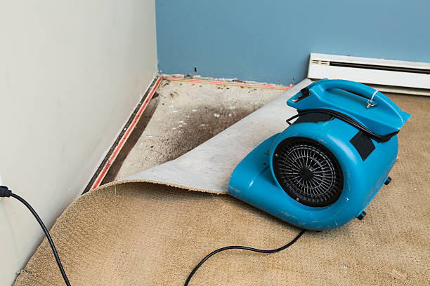 Evansburg, PA Water damage restoration Company